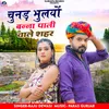 About Chunad Bhulayo Banna Pali Vale Shahar Song